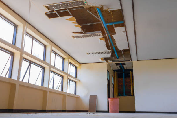 Best Sewage cleanup and water damage restoration  in Paloma Creek South, TX