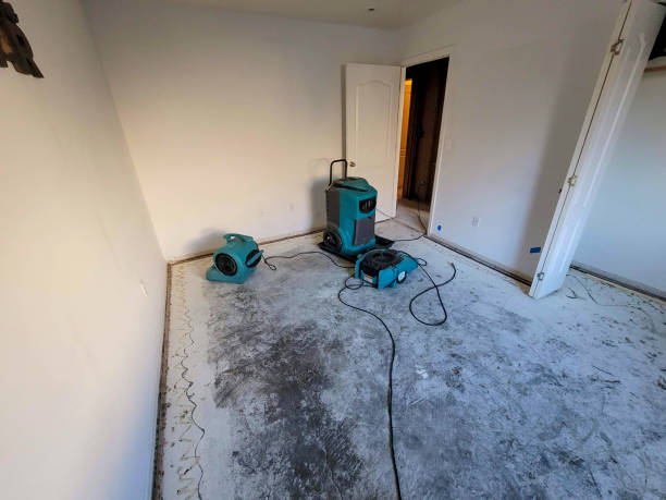Best Carpet water damage restoration  in Paloma Creek South, TX