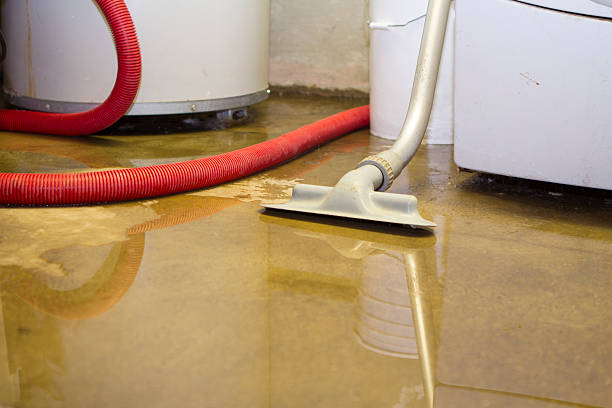 Best Flood restoration services  in Paloma Creek South, TX