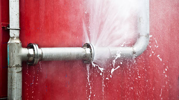 Best Water damage contractors near me  in Paloma Creek South, TX
